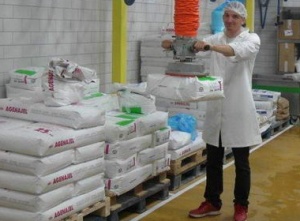 Handling von Säcke mit Maisstärke Handling von Säcke mit Maisstärke in der Lebensmittelindustrie mit Vakuumschlauchheber