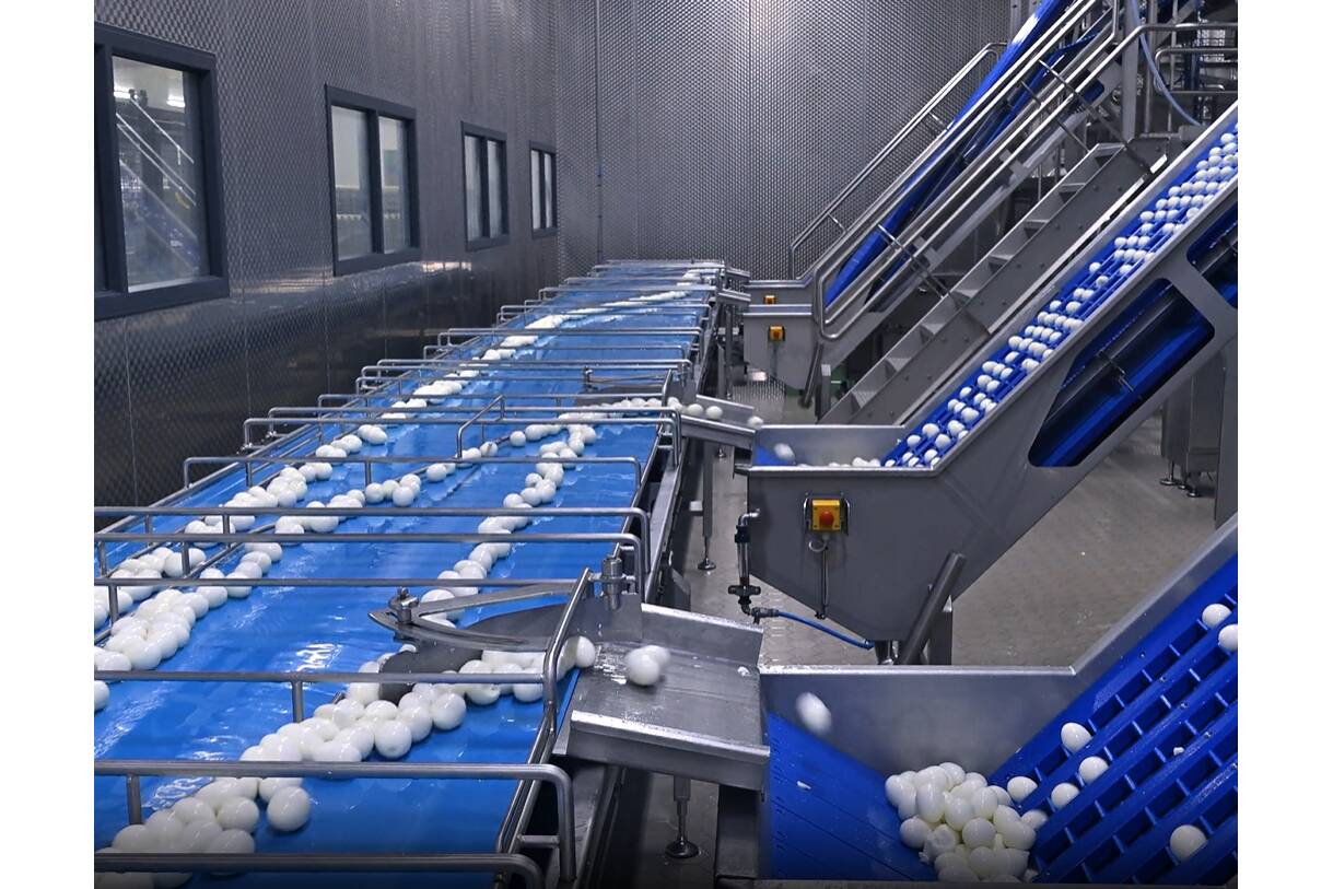 Automation in Aktion: Penko x Pap Eggs. Penko automatisierte das Wiegen und Dosieren bei Pap Eggs und steigerte Effizienz, Genauigkeit und Lebensmittelsicherheit in der Eiverarbeitung.
