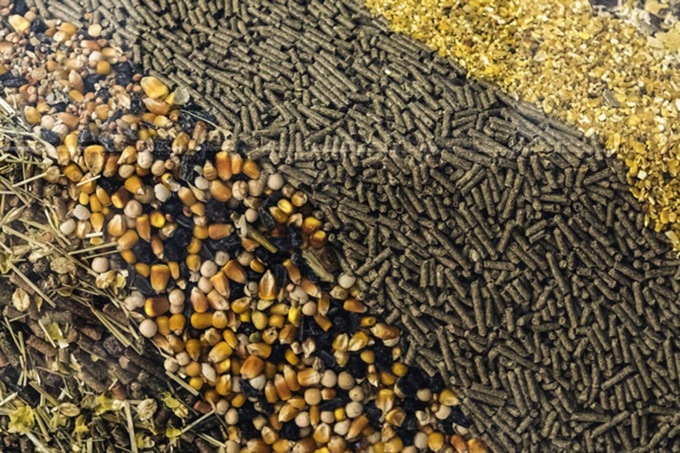 Feuchtigkeitskontrolle in der Tierfutterproduktion Eine der großen Herausforderungen in der Tierfutterindustrie ist die große Anzahl unterschiedlicher Rezepturen. Die Kontrolle und Messung der Feuchtigkeit ermöglicht die korrekte Kalibrierung für jede der verschiedenen Rezepturen.